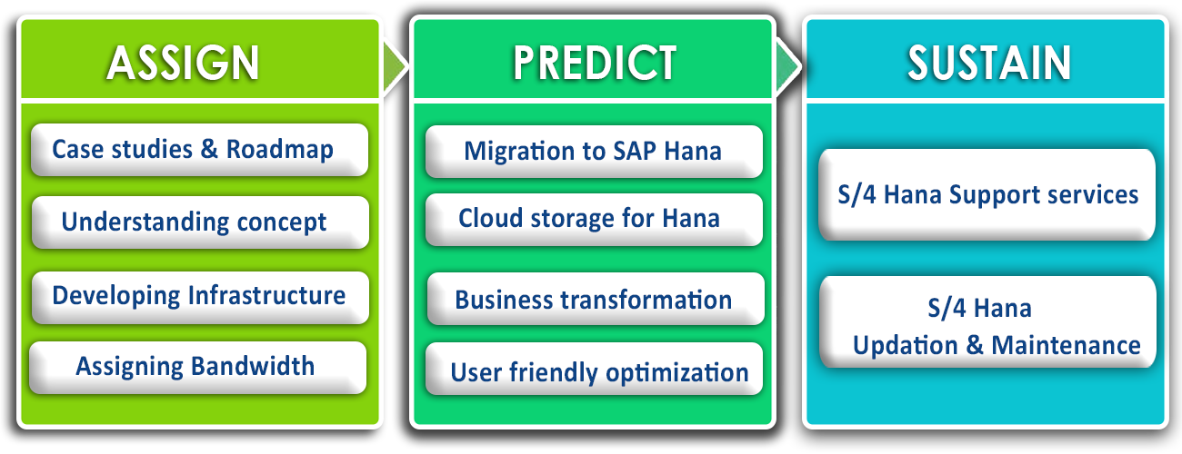 SAP HANA Service & Support